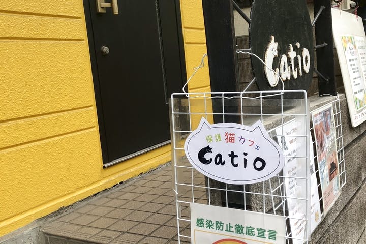 保護猫カフェcatio キャティオ ネット予約ならアソビュー