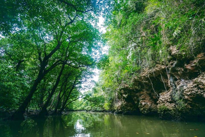 石垣島カヌーツアー池間