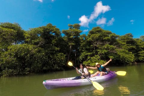 【沖縄・石垣・リバーカヤック】1歳もOK！宮良川マングローブカヌーアドベンチャー