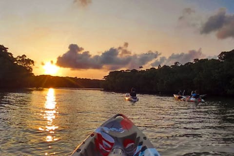 【沖縄・石垣・リバーカヤック】宮良川を満喫！マングローブ＆サンセットカヌーツアー