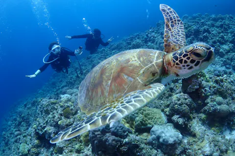 【学生限定！！沖縄の慶良間でライセンス取得】学割PADIオープンウォーターダイバーコース（2日間）