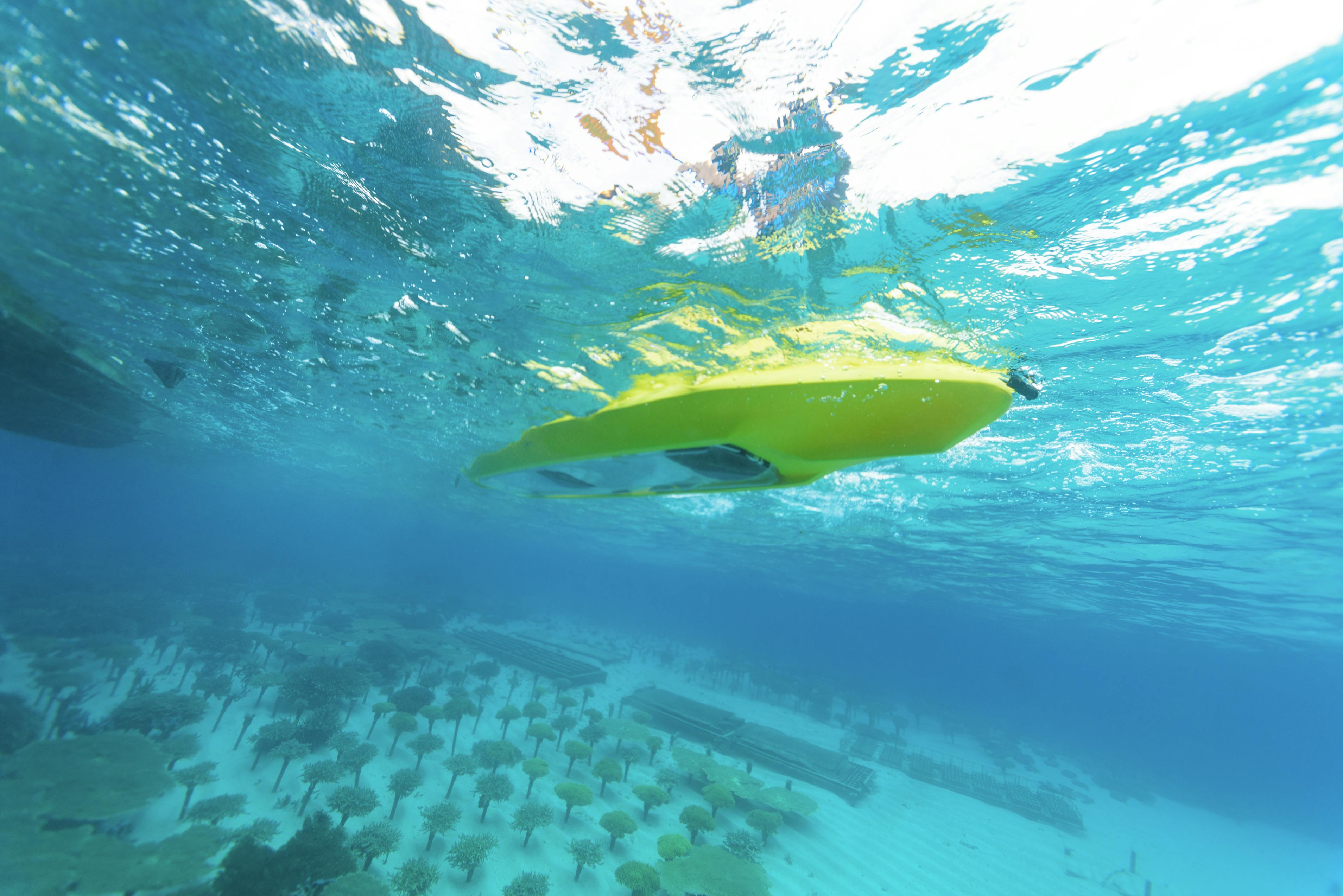 恩納村海浜公園ナビービーチ