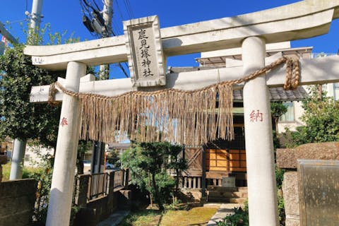 【東京・江戸川区・東京23区農林水産ツアー】～江戸川区発祥の伝統野菜って知ってる！？地域を深堀りしたローカルツアーで地元の方との交流や農園体験も♪～