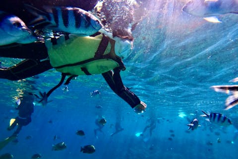 【青の洞窟•貸切シュノーケル•3歳〜70歳までOK！雨天開催】安心の完全貸し切りツアー⭐︎写真・動画撮影制限なし！無料撮影☆女性スタッフ在籍☆当日予約・泳げない方大歓迎☆シャワー、ドライヤー完備!