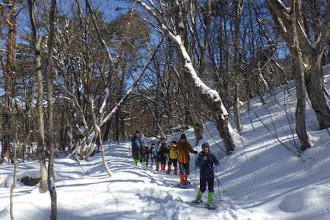 【福島・裏磐梯・スノーシュー】ちょこシュー！リーズナブルに五色沼スノーシューツアー(2時間)