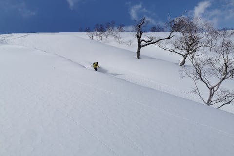 【岐阜・高鷲・バックカントリースキー】自然の中で滑走！バックカントリーを楽しむ