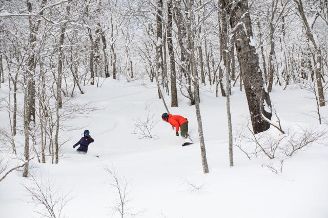 【岩手・北上・ツリーラン】ふかふかなパウダースノーの森を滑りぬく！ツリーラン体験＜スキー経験者向け・16歳～＞