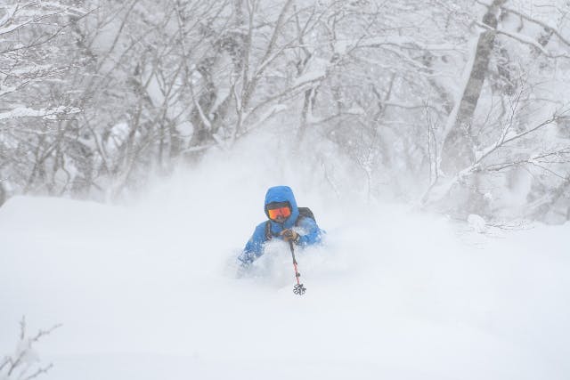 【岩手・北上・ツリーラン】上級者向け！豪雪ツリーランガイド