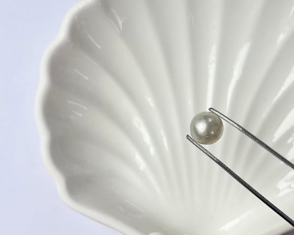 真珠体験HAPPY　PEARL（ハッピーパール）