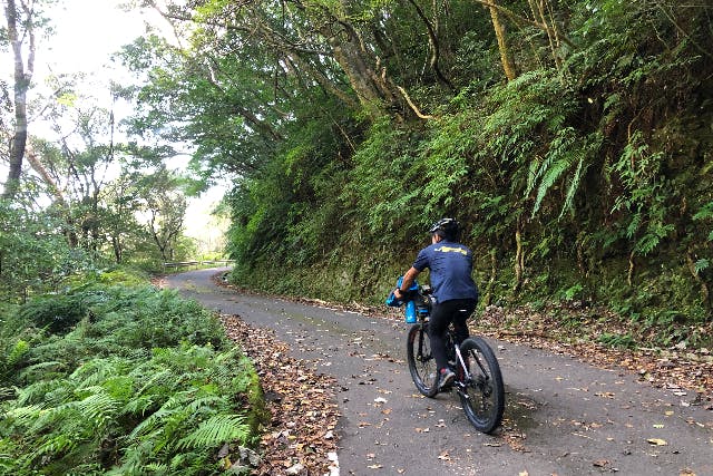【鹿児島・奄美大島・サイクリング】自然を堪能！e-bikeで行く水と緑の森ツアー