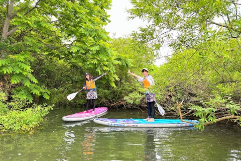 【北海道・余市駅徒歩7分】余市川ゆったりリバーSUP 自然の中をゆったり流れる♪秋の余市川静水リバーSUP・写真データー・ウェットスーツレンタル無料♪ 【9月・10月限定】