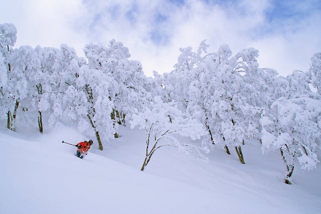 【長野・野沢温泉・スキーレンタル】格安レンタルでお手軽スキー！安心安全に楽しもう
