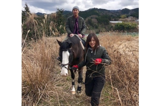 【大阪・和泉・乗馬体験】可愛いポニーとふれあえる！癒されながら乗馬体験