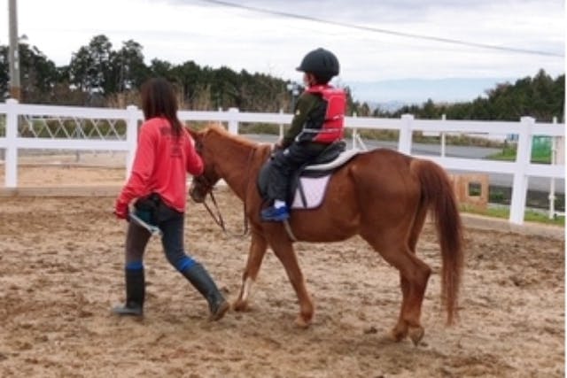 【大阪・和泉・乗馬体験】かっこいいサラブレッドに乗れる貴重な乗馬体験！