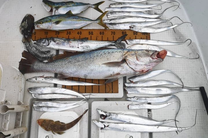 JIGGING JUNKIE（ジギング ジャンキー）