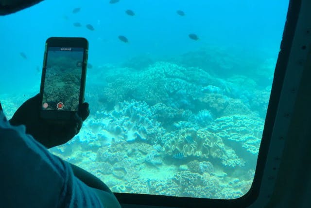 【沖縄・那覇発・遊覧船グラスボート】ブルーカーボンクルーズ