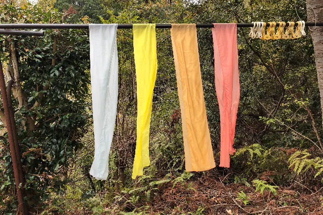 【和歌山・印南・草木染め】草木染めで二色組のシルクマフラーを作ろう