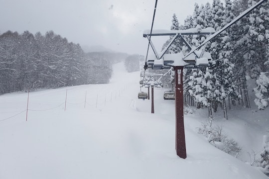 Shinano snow sports（シナノスノースポーツ）