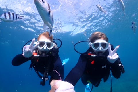 【沖縄・青の洞窟・体験ダイビング】のんびり楽しめる！青の洞窟ボート体験ダイビング