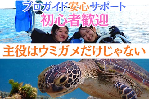 【那覇から約30分】「探して、見つけて、夢中になる自然体験シュノーケリングinジョン万ビーチ」★泳げない方OK★送迎可★保温対策充実★