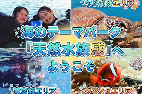 【沖縄 那覇から約30分】海のテーマパーク・天然水族感でウミガメ＆100種以上の生物探索シュノーケリング｜送迎可｜初心者大歓迎｜当日予約OK
