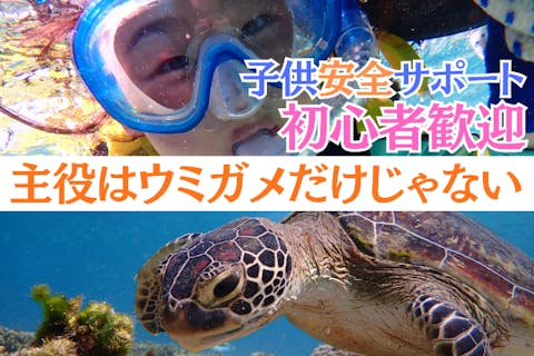 【那覇・糸満周辺】創業以来、無事故で安心！『ウミガメ＆100種以上の生物探索シュノーケリング』お子様専用フロート完備★送迎可★保温対策充実★