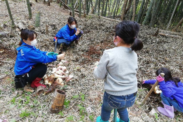 【静岡・浜松・竹細工】非日常の爽やかな竹林内で竹遊び！好きなものを作って遊ぼう