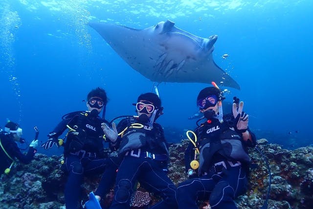 【沖縄・石垣島・ファンダイビング】ウミガメ、マンタに会えるかも！2ボートファンダイビング！高画質の写真・動画無料プレゼント（要ダイビングライセンス）