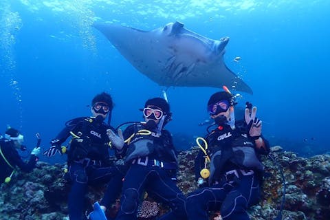 【沖縄・石垣島・ファンダイビング】ウミガメ、マンタに会えるかも！2ボートファンダイビング！高画質の写真・動画無料プレゼント（要ダイビングライセンス）