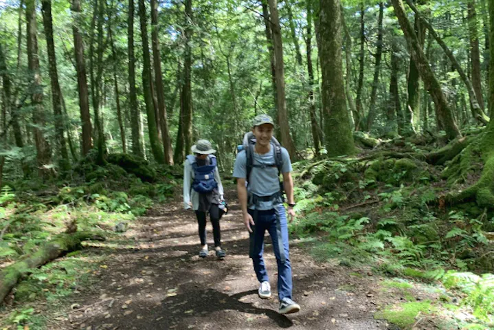 Trail Hikes トレイルハイクス ネット予約ならアソビュー