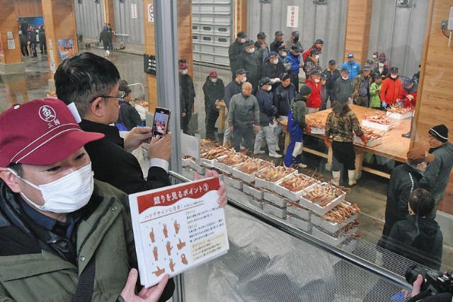 【坂井市・三国町・グルメツアー】三国港の夕競り見学＆美食グルメを味わい尽くすプレミアムプラン！