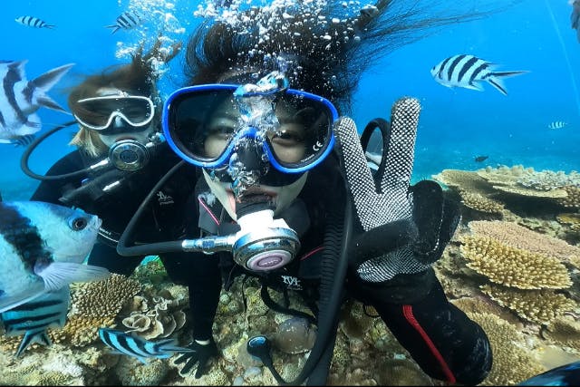 【沖縄・本部町】ゴリラチョップ体験ダイビング ♪GoPro写真データ無料サービス・ダイビング 初めての初心者、お友達・カップル・家族におすすめ！