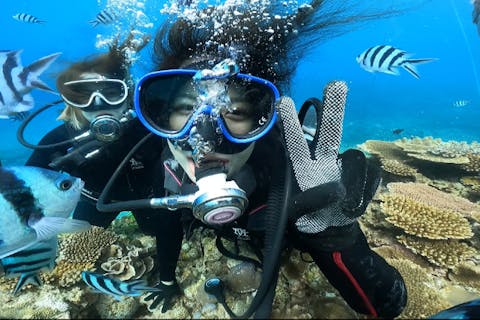 【沖縄・本部町】ゴリラチョップ体験ダイビング ♪GoPro写真データ無料サービス・ダイビング 初めての初心者、お友達・カップル・家族におすすめ！