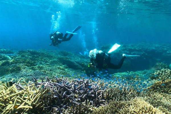 ☆沖縄本部・水納島or瀬底島orゴリラチョップ初心者対応ボート体験
