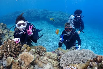 ☆沖縄本部・水納島or瀬底島orゴリラチョップ初心者対応ボート体験