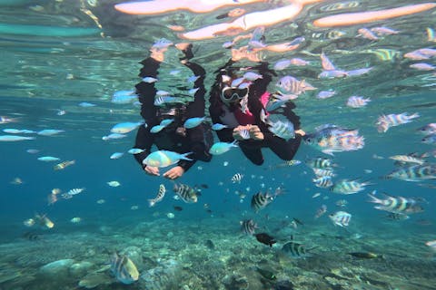 ★沖縄本部・水納島or瀬底島orゴリラチョップ初心者対応ボートシュノーケリング♪写真データ無料！家族・友達同士・カップルに大人気ツアー！