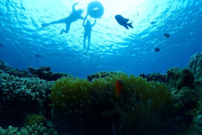 沖縄・本部町・シュノーケリング】お得な団体向けプラン！中学・高校生