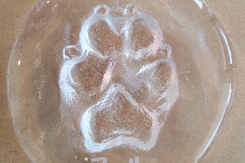 【長野・安曇野・ガラス工房】思い出や成長を形に残す！ガラスの手形or足形（1個）