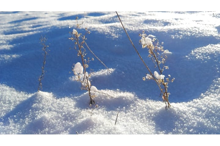 HOKUTEN activity（ホクテン アクティビティ）