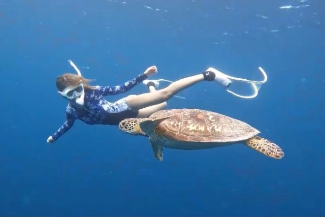 海遊びネジ umi asobi nejiの割引プラン