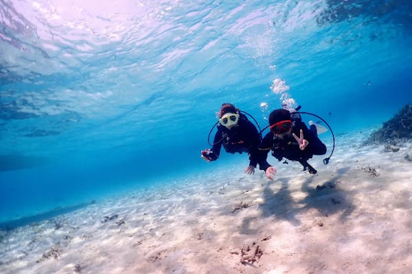海遊び ネジ｜ネット予約ならアソビュー！