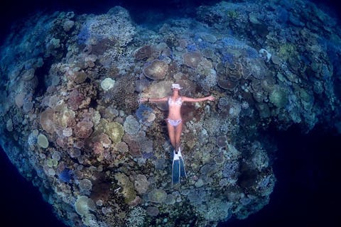 【地域クーポンOK・アソビュー限定特別価格】 マンタorウミガメ狙いの1日スキンダイビングツアー