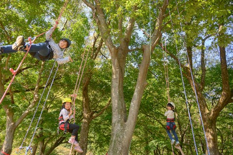 新潟県 アドベンチャー 冒険の遊び体験 アソビュー 休日の便利でお得な遊び予約サイト