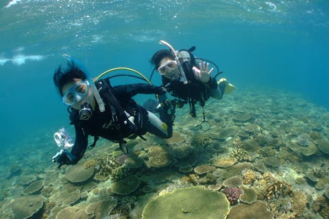 【沖縄・那覇・体験ダイビング】1日1組限定のプライベート制！潜りごたえあり！沖縄本島体験ダイビング（2ダイブ）