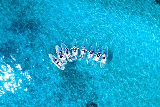 【沖縄・宮古島・SUP】宮古島では数少ないクリアサップが体験できる！クリアサップツアー