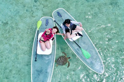 【沖縄・宮古島・SUP】宮古島では数少ないクリアサップが体験できる！クリアサップツアー