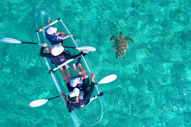 【沖縄・宮古島・シーカヤック】宮古島の海をダイレクトに感じられる！クリアカヤックツアー