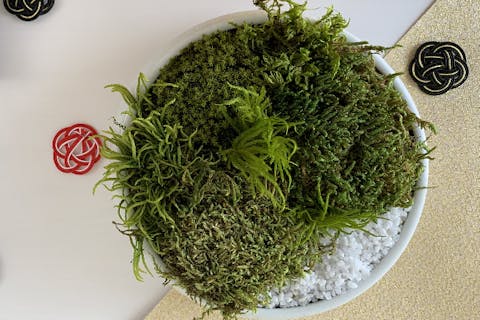 【東京・新宿・グリーンインテリア】プリザーブド加工の苔枯山水アレンジメント