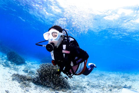【沖縄・宮古島・ライセンス取得】憧れのダイバーへの第一歩！オープンウォーター講習