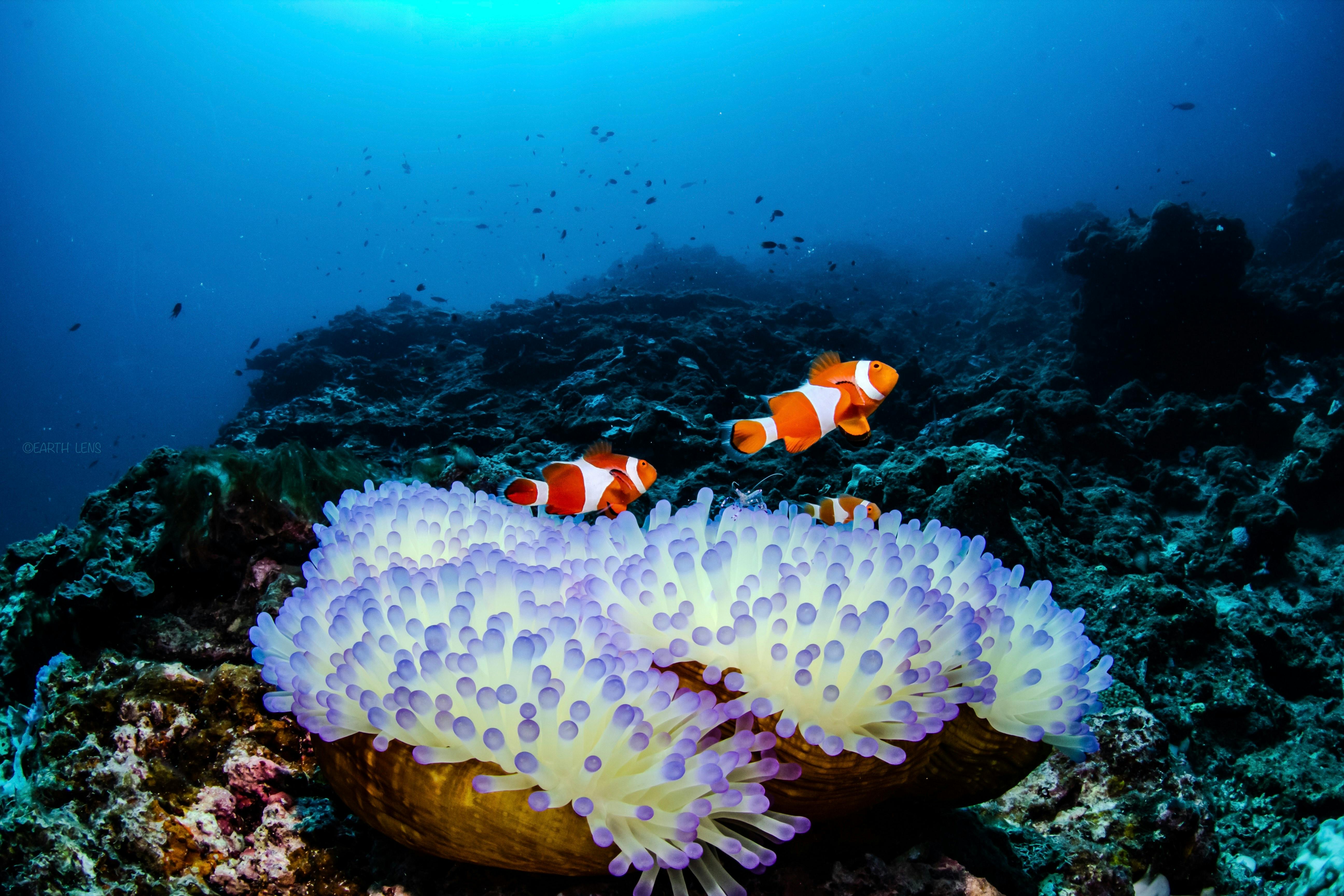 EARTH-LENS（アースレンズ）